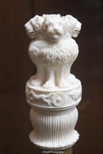 WhatsApp Image 2026-01-20 at 1.16.39 PM (3)