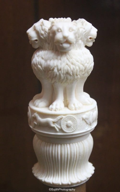 WhatsApp Image 2026-01-20 at 1.16.39 PM (3)